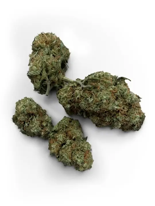 Buy Alien OG