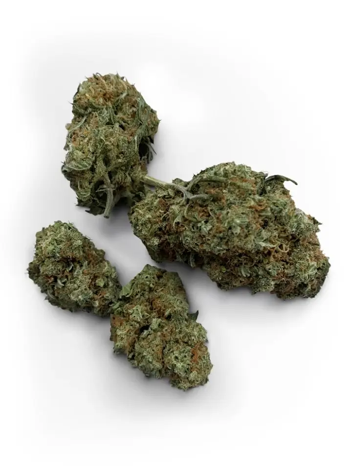 Buy Alien OG