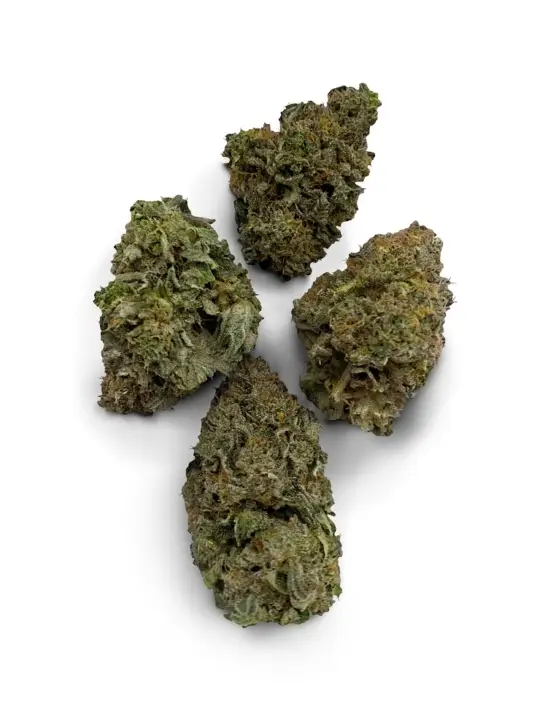 Buy Sour Headband