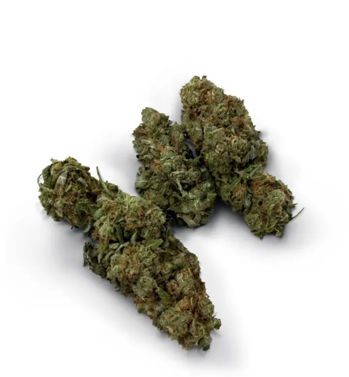 Copper Chem