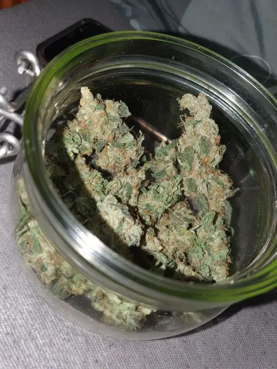 Cali Weed